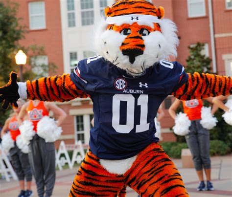 auburn university tiger|More.